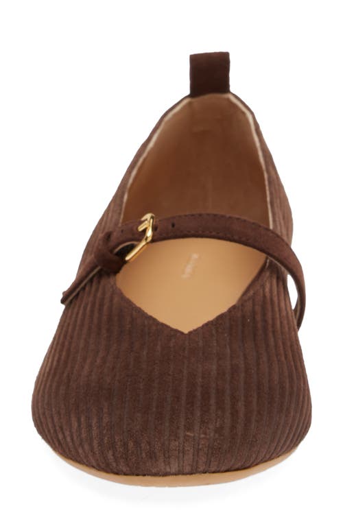 Shop Jw Anderson Suede Mary Jane Flat In Calfsuede Corduroy Brown