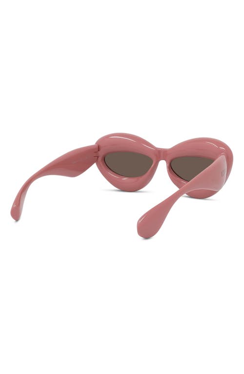 Shop Loewe 55mm Cat Eye Sunglasses In Shiny Pink/brown