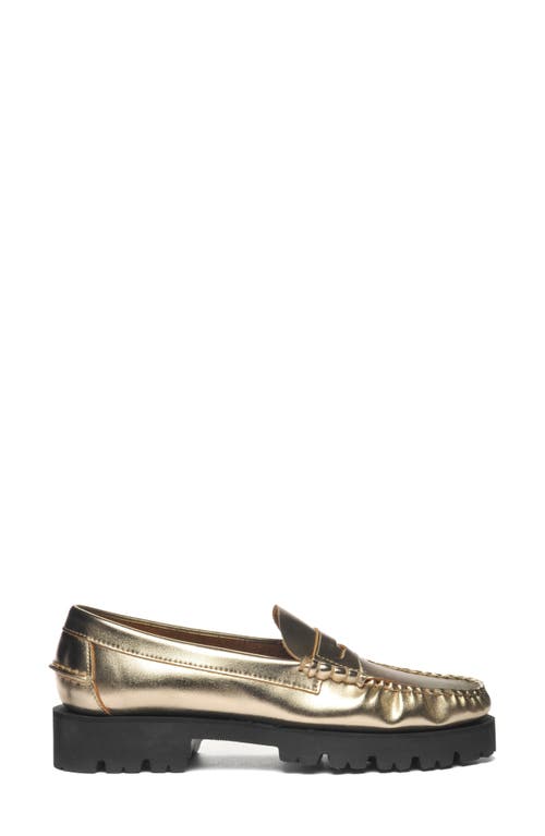 Sebago Dan Loafer in Gold 