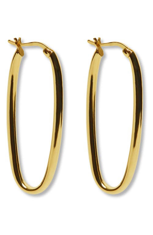 Shop Argento Vivo Sterling Silver Sterling Silver Oval Hoop Earrings In Gold