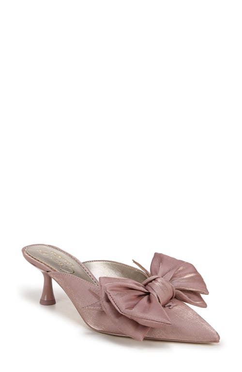 Shop Circus Ny By Sam Edelman Fiona Pointed Toe Mule In Blush French Macaroon