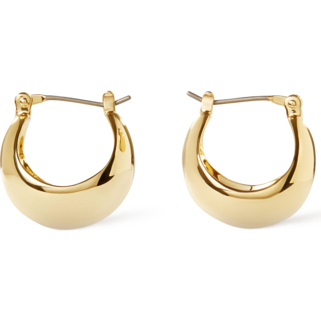 Ana Luisa Hoop Earrings In Gold