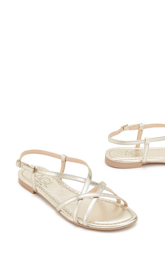 Shop Agl Attilio Giusti Leombruni Summer Ankle Strap Sandal In Sandy