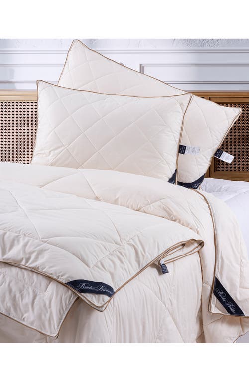 Brooks Brothers Cotton Comforter In Cream
