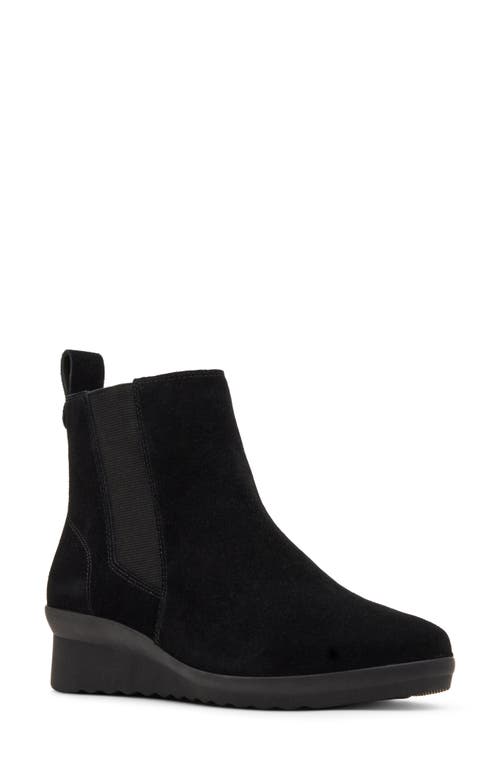 Shop Blondo Stringer Waterproof Wedge Bootie In Black Suede