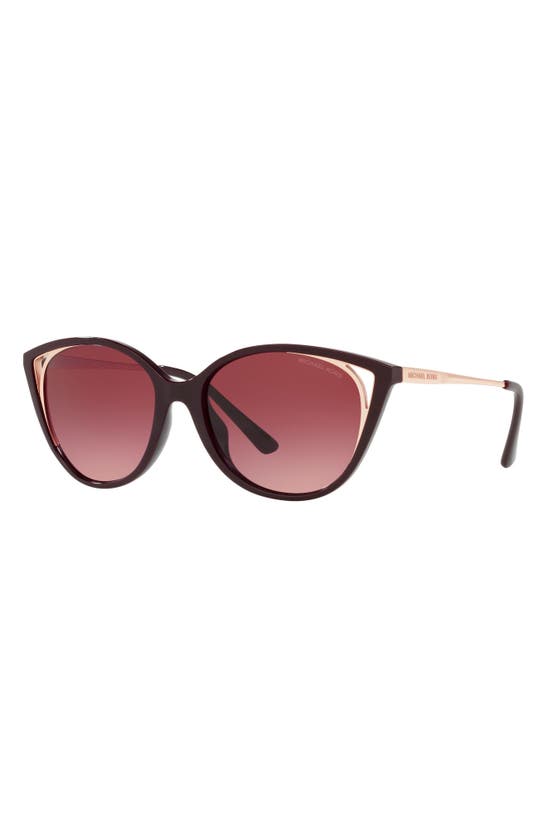 Shop Michael Kors Alexandria 55mm Cat Eye Sunglasses In Cordovan