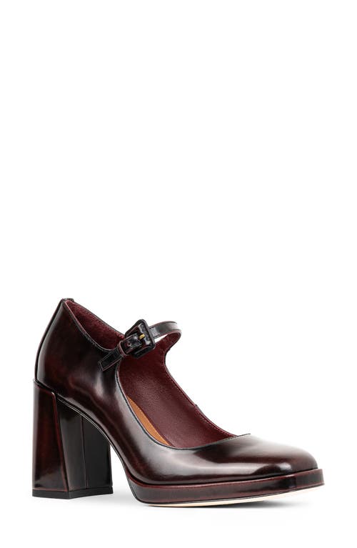 Donald Pliner Rosalita Platform Mary Jane Pump in Bordeaux 