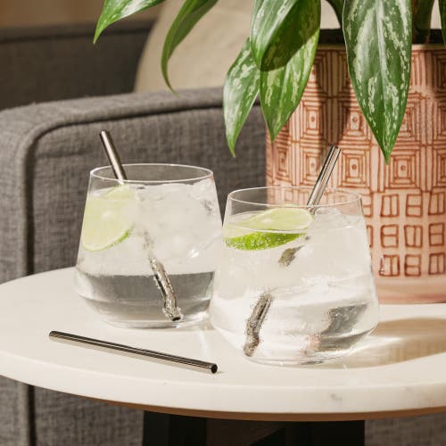Viski Lowball Straws In Warren