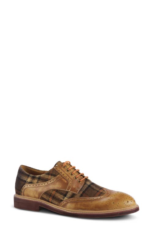 L'artiste By Spring Step Thavo Plaid Derby In Tan Multi