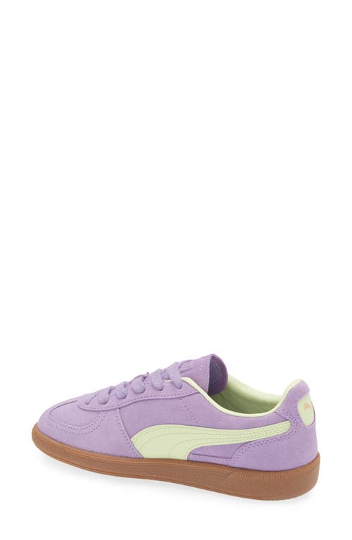 Shop Puma Kids' Palermo Sneaker In Lavender Alert-cool Cucumber