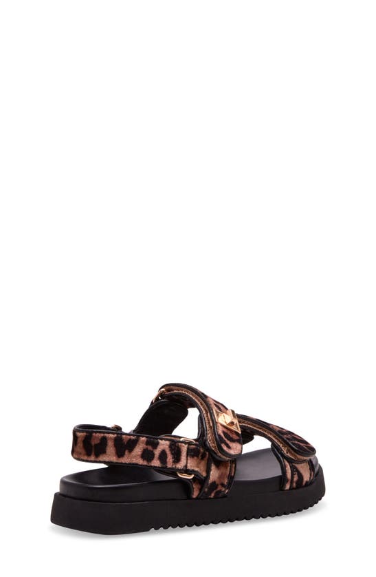 Steve Madden Mona Sandal In Leopard Velvet