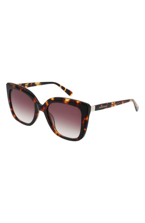 Longchamp Le Pliage 53mm Gradient Rectangular Sunglasses In Dark Havana/brown