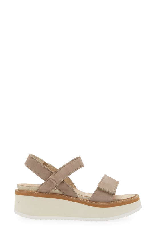 Shop Naot Meringue Wedge Sandal In Stone Nubuck