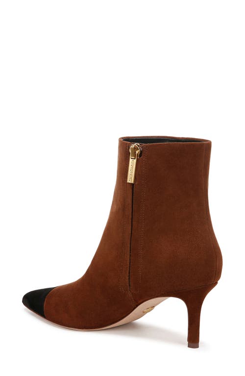 Shop Veronica Beard Lisa Pointed Cap Toe Bootie In Cedar/black