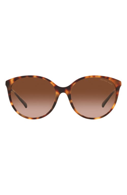 Michael Kors Cruz 56mm Gradient Round Sunglasses in Tortoise Rd