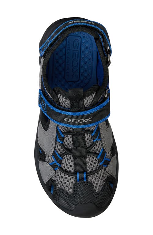 Shop Geox Airadyum Water Friendly Sandal In Dark Grey/royal