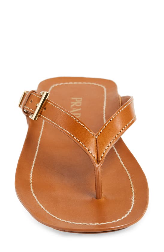 Shop Prada Buckle Leather Flip Flop In Cuoio