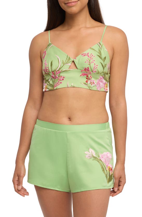 Shop Rya Collection Valencia Bralette & Shorts In Green Apple