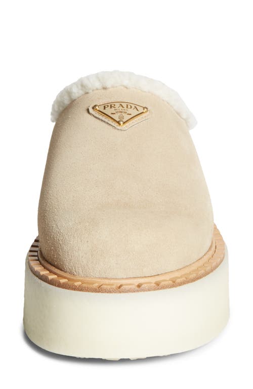 PRADA PRADA EVOLVE GENUINE SHEARLING CLOG