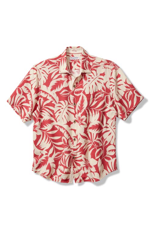 Shop Tommy Bahama Veracruz Cay Lindavista Leaves Short Sleeve Button-up Shirt In Dark Havana