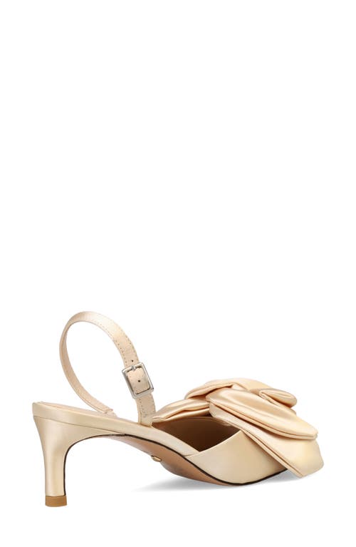 Shop Pelle Moda Uzma Slingback Pump In Champagne