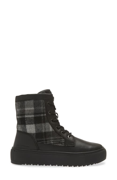Cougar Apex Lace-up Boot In Black