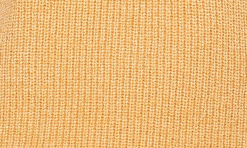 Alexia Admor Women's Jaylani Turtleneck Sweater Vest In Camel