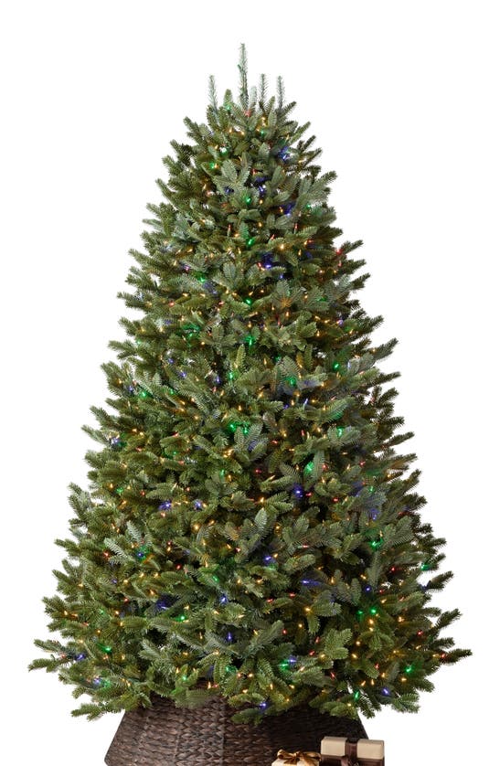 Balsam Hill Artificial Led Light Fraser Fir Tree In Led Clear