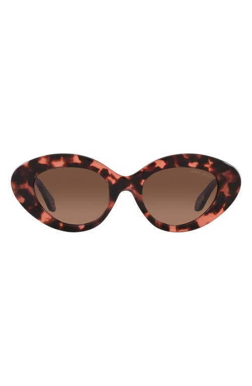 Armani Exchange 50mm Gradient Small Cat Eye Sunglasses in Havana Pink at Nordstrom