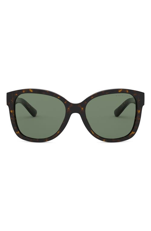 Ralph Lauren 54mm Square Sunglasses in Shiny Dark Havana/green at Nordstrom