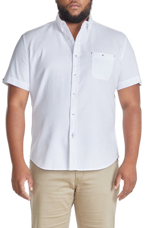 Johnny Bigg Rodney Regular Fit Short Sleeve Cotton Button-Up Shirt in White