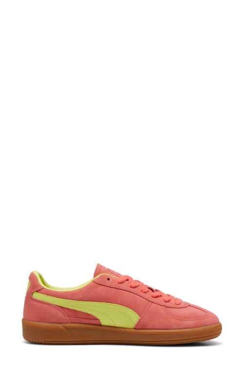 Puma Palermo Leather Sneaker In Salmon-lime Sheen-gum