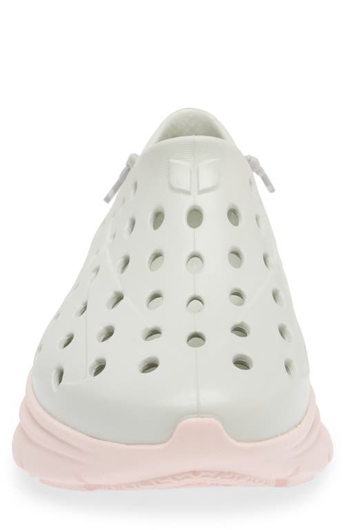 Kane Gender Inclusive Revive Shoe In Heather/pink
