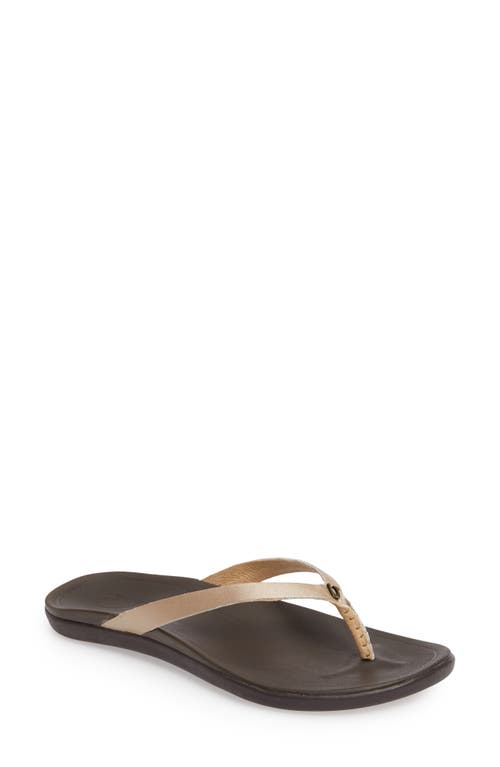 Shop Olukai Ho Opio Leather Flip Flop In Bubbly/dark Java Leather