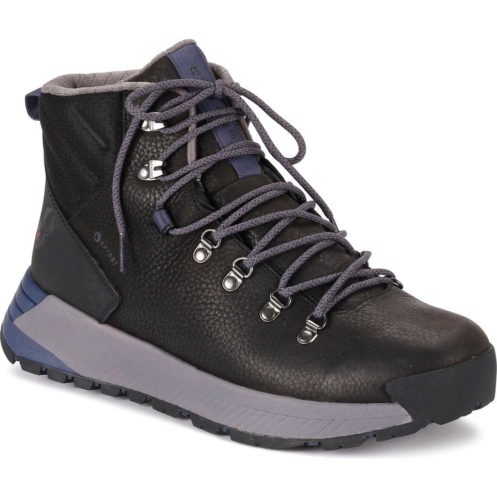 Spyder Blacktail Waterproof Hiking Boot In Black