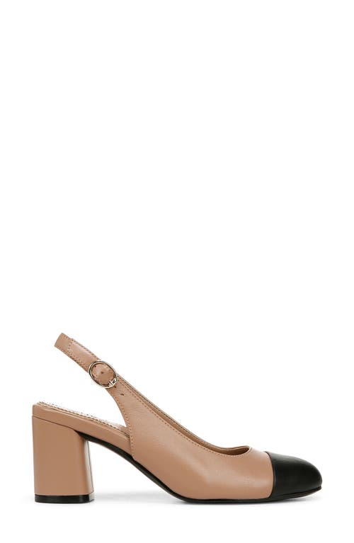 Shop Naturalizer Sophie Slingback Pump In Taupe/black