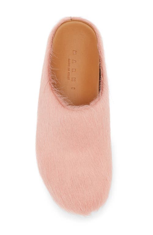 Marni Ssense Exclusive Pink Fussbett Sabot Loafers In Rose