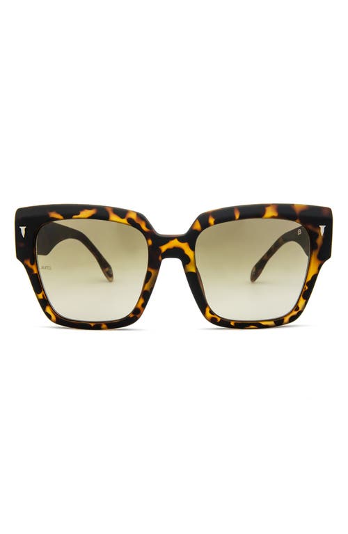 Shop Mita Sustainable Eyewear Capri 56mm Geometric Sunglasses In Matte Tort/gradient Green