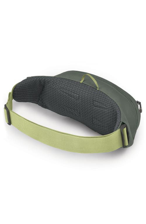 Shop Osprey Daylite Waist Pack In Rattan Print/rocky Brook