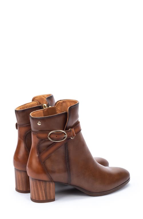 Pikolinos Calafat Buckle Bootie In Topo