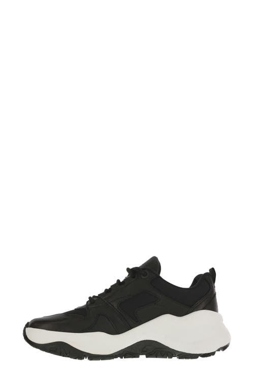 Shop Sas Low Country-x Sneaker In Monochrome