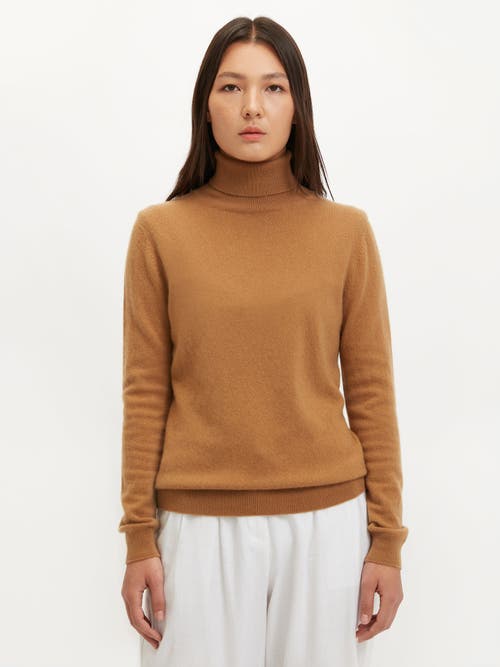 Shop Gobi Cashmere Classic Turtle Neck In Almond