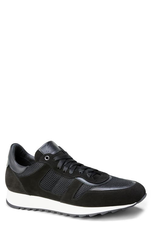 Solid Triumph Sneaker in Black