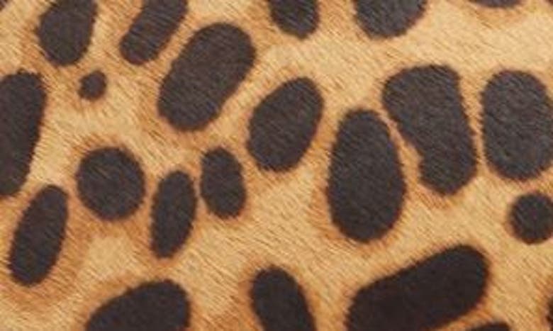 Shop Birdies Starling Genuine Calf Hair Flat In Cheetah Calf Hair