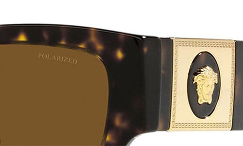 Versace 55mm Polarized Cat Eye Sunglasses In Havana/polarized Brown