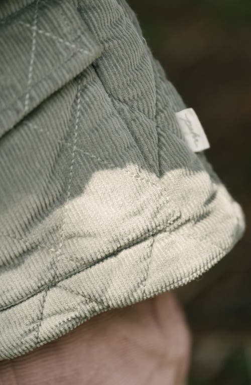 Pehr Organic Cotton Corduroy Quilted Hooded Jacket In Green