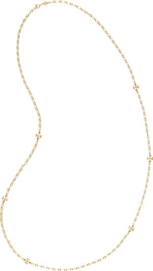 Roxanne Long Chain Necklace