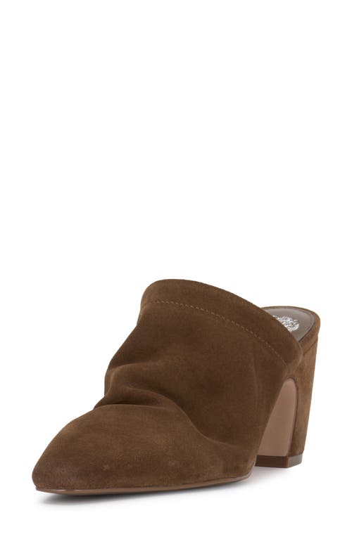 Vince Camuto Carlie Pointed Toe Mule In Reishi Brown