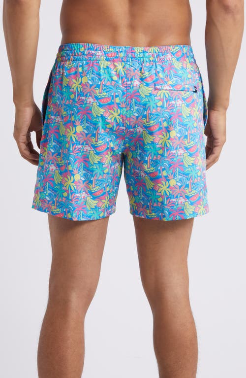 Shop Chubbies Classic Lined 5.5-inch Swim Trunks In Bright Blue Tropical