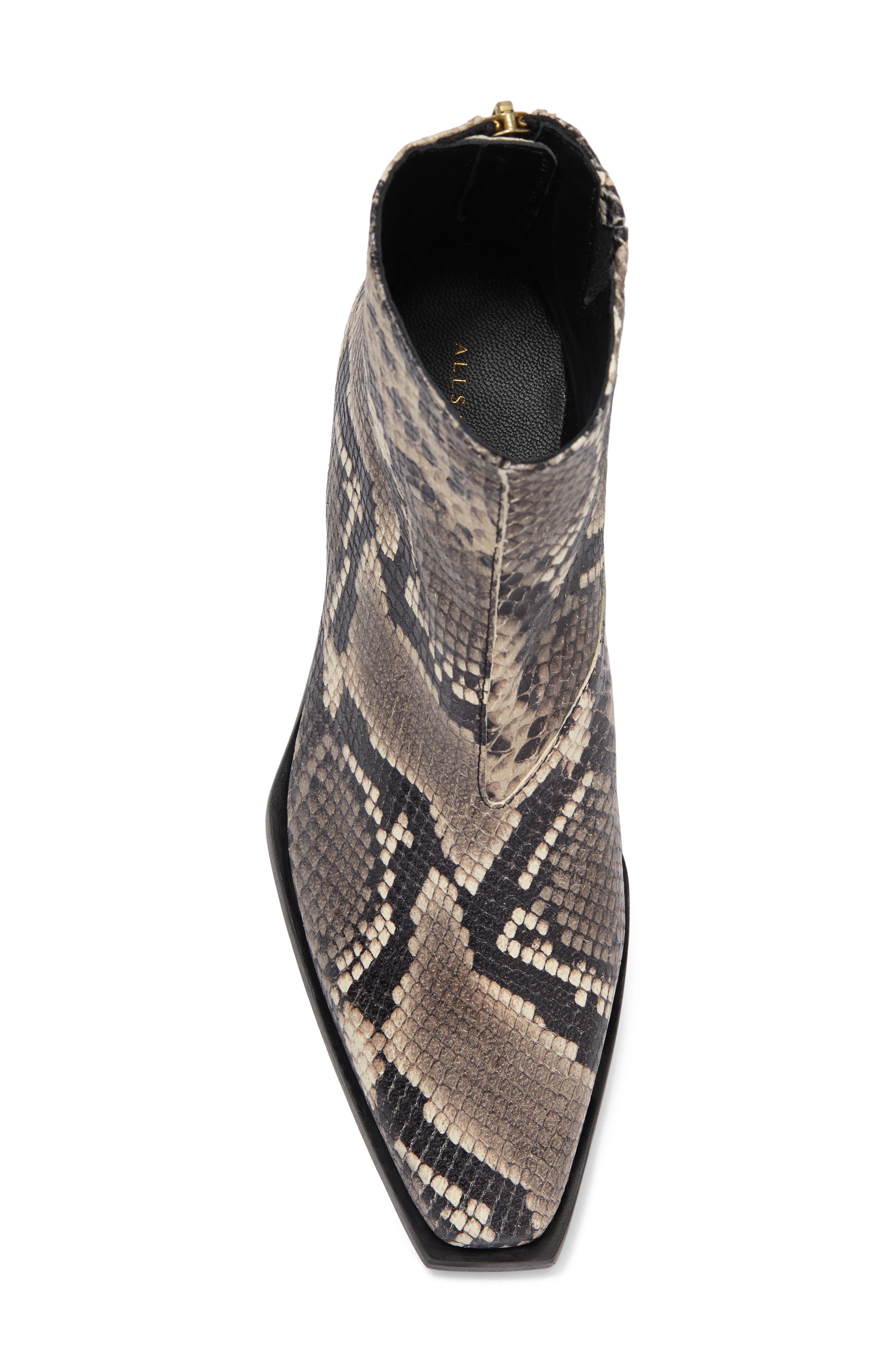 AllSaints Lenora Snake Print Bootie in Grey at Nordstrom Rack, Size 8